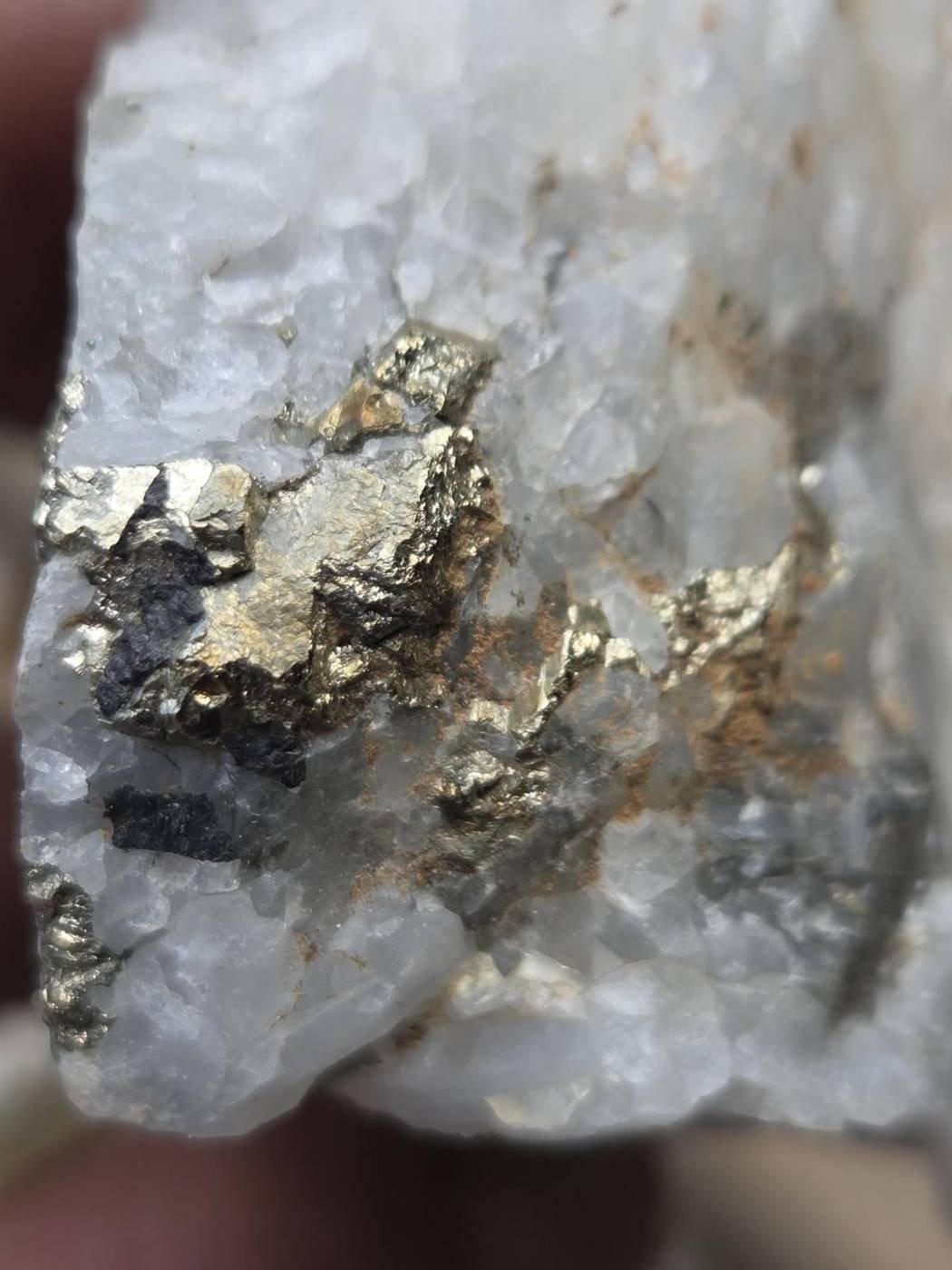 Muestra de cuarzo con mineralización de oro y sulfuros