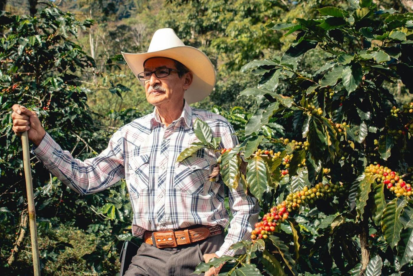Local farmer on his farm