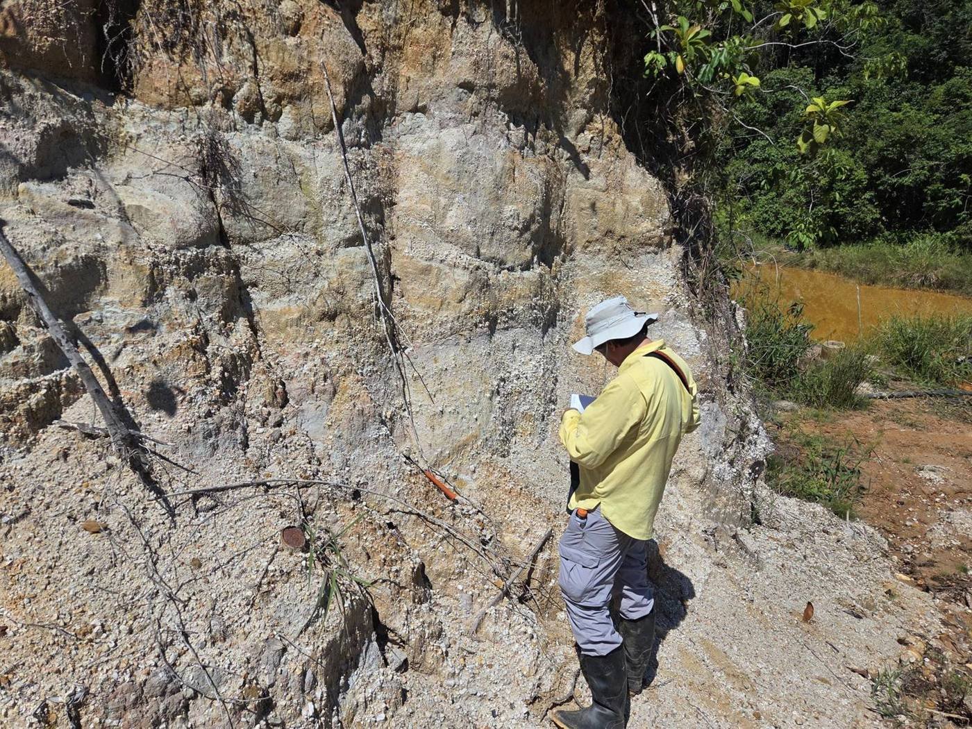 Technical review of a rock outcrop in the field