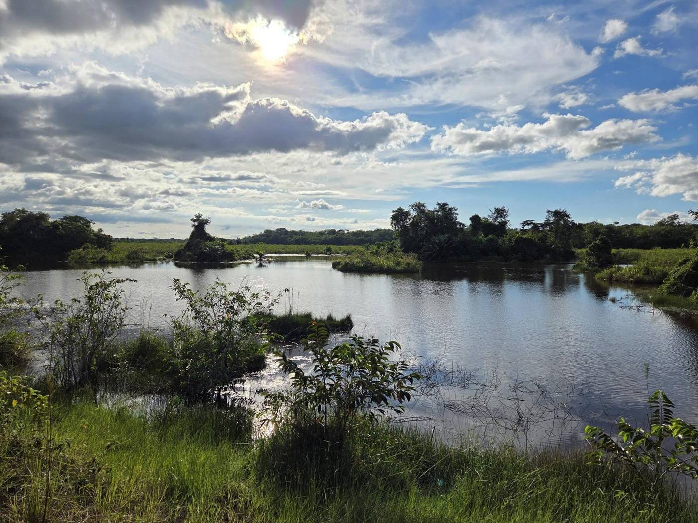 Paisaje de río y humedales en una región minera